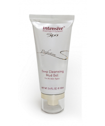 INTENSIVE SPA PERFECTION Deep Cleansing Mud Gel