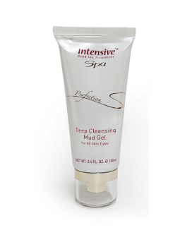 INTENSIVE SPA PERFECTION Deep Cleansing Mud Gel